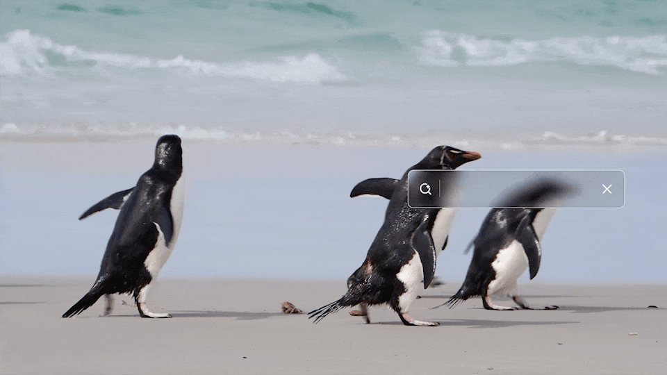 SAM 3 segmenting dancers, penguins, and cars in a series of different videos