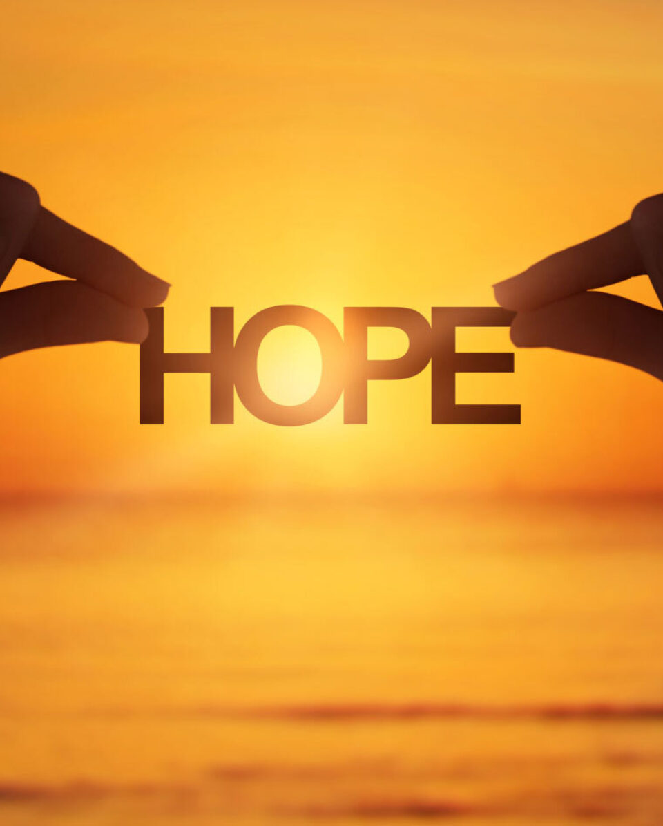 Regular giving to Lifeline